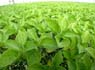 home_photos (1)