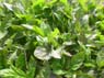 home_photos (7)